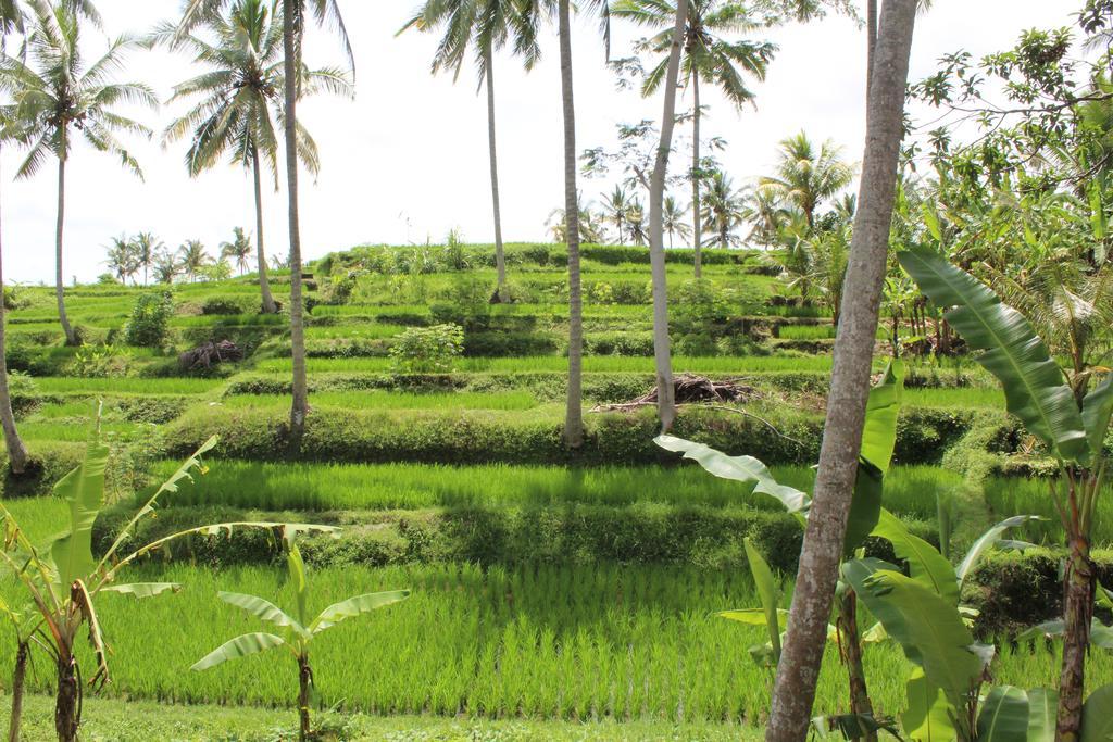 Junjungan 3* Ubud