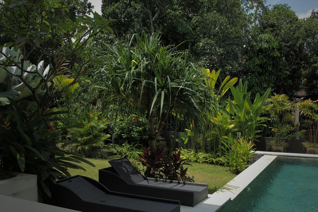 The Jumah Villa *