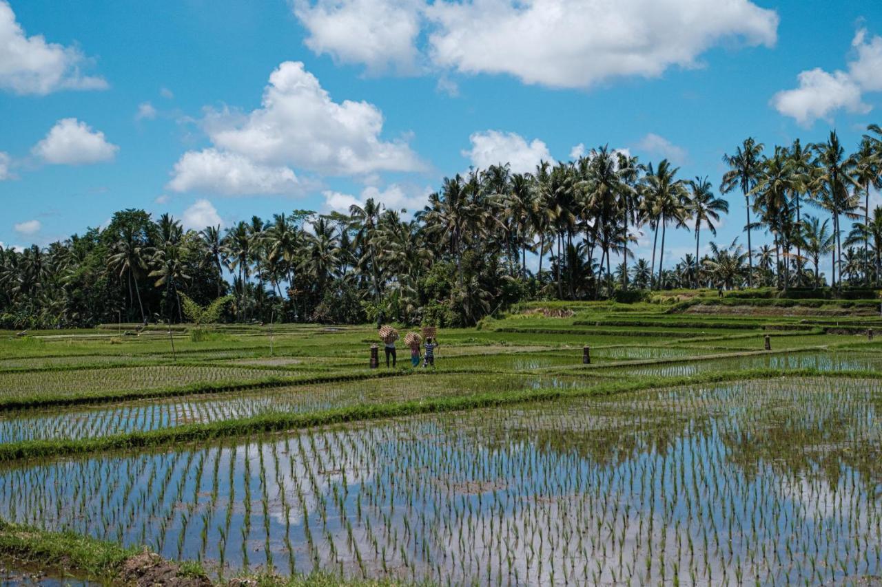 Asri Cinta * Ubud