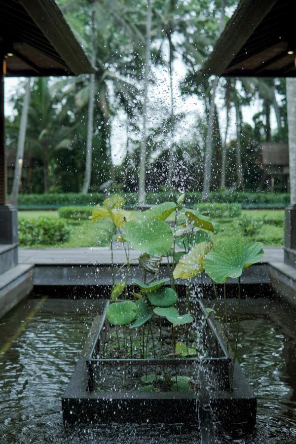 Villa Puri Tupai *