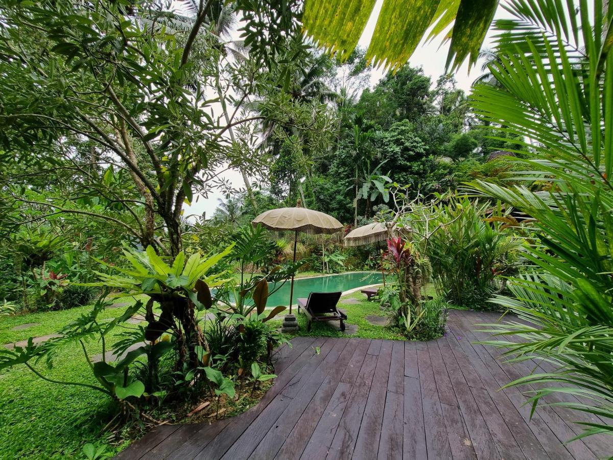 Mahadevi Jungle Retreat Joglo 3 *