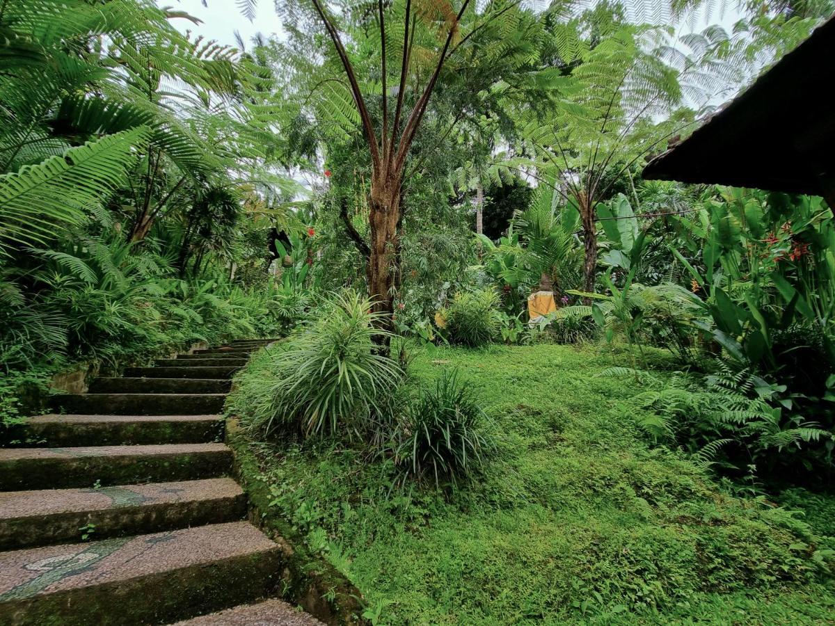 Mahadevi Jungle Retreat Joglo 3