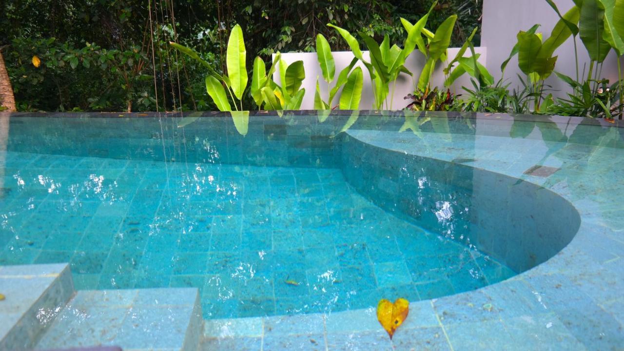 Vila Kingfisher 2 *