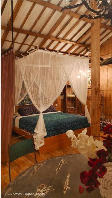 The Birdhouse Villa *