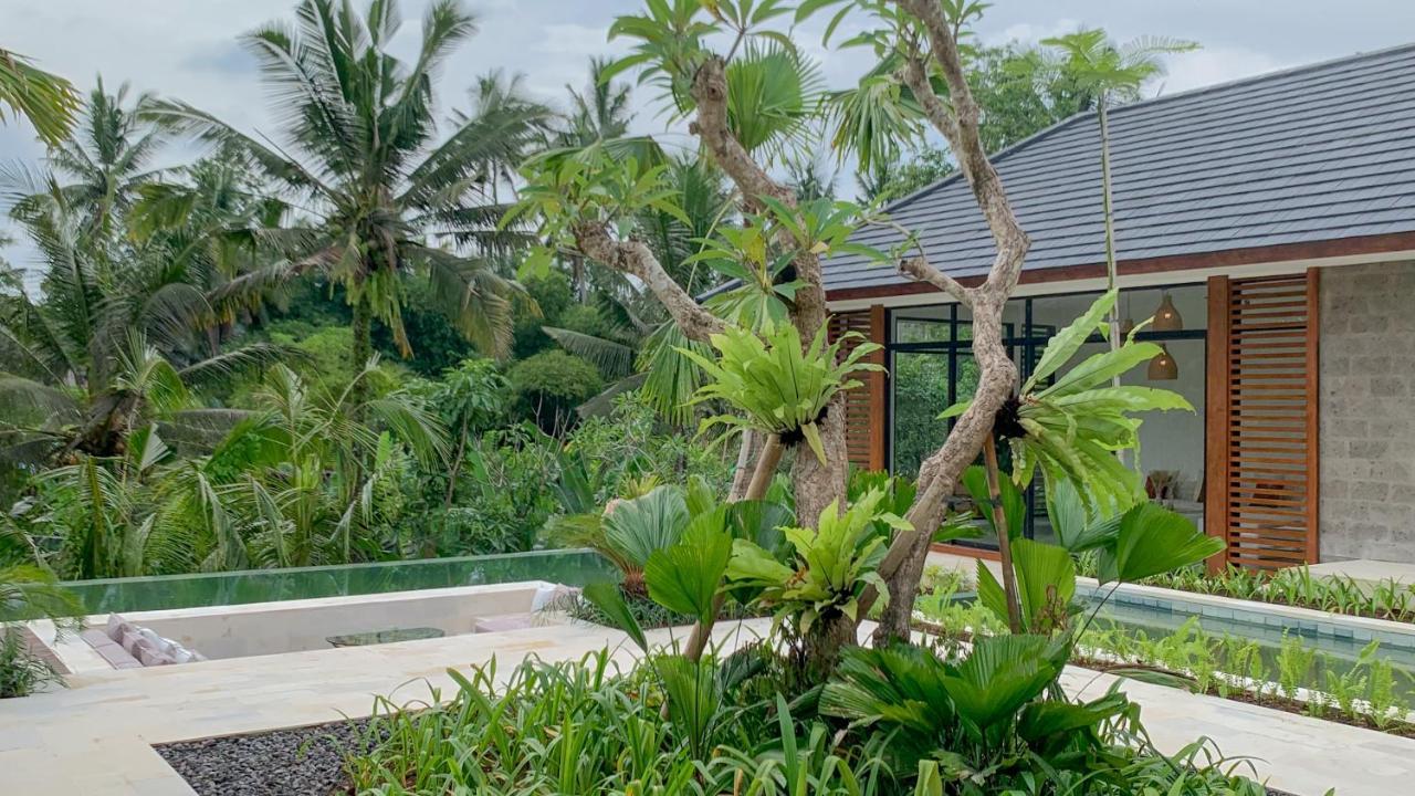 Homestay The Kayu