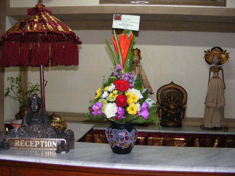 Jalan Jalan & 4* Ubud (Bali)