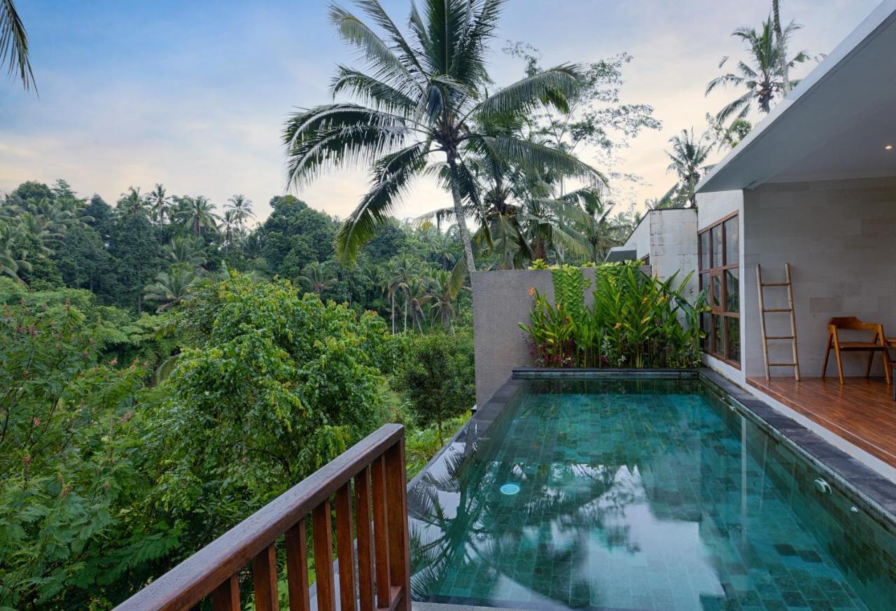 Villa Kelusa Hill *