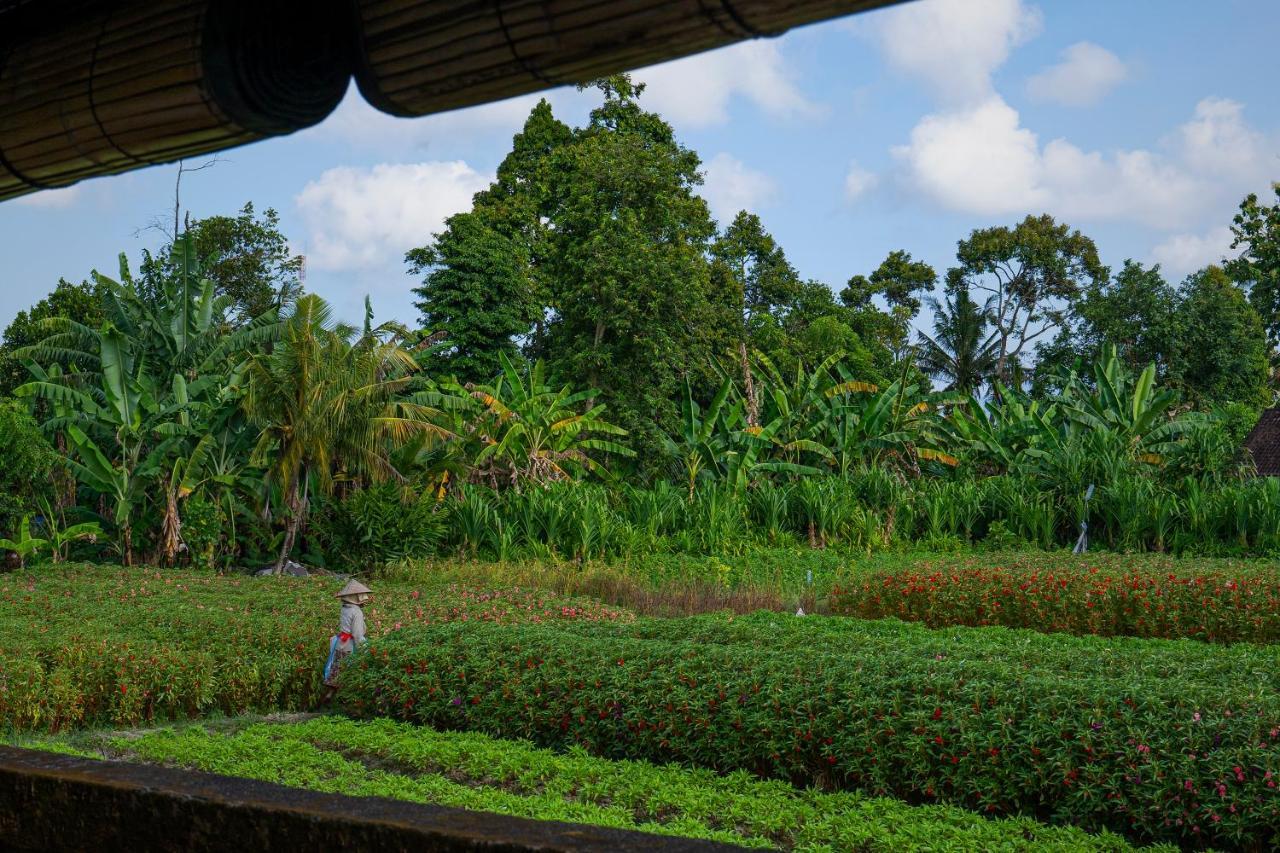 Oemah Joglo Bali Villa Ubud (Bali)