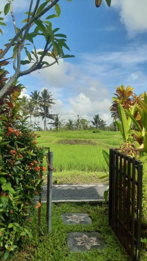 Buddha Homestay Ubud (Bali)