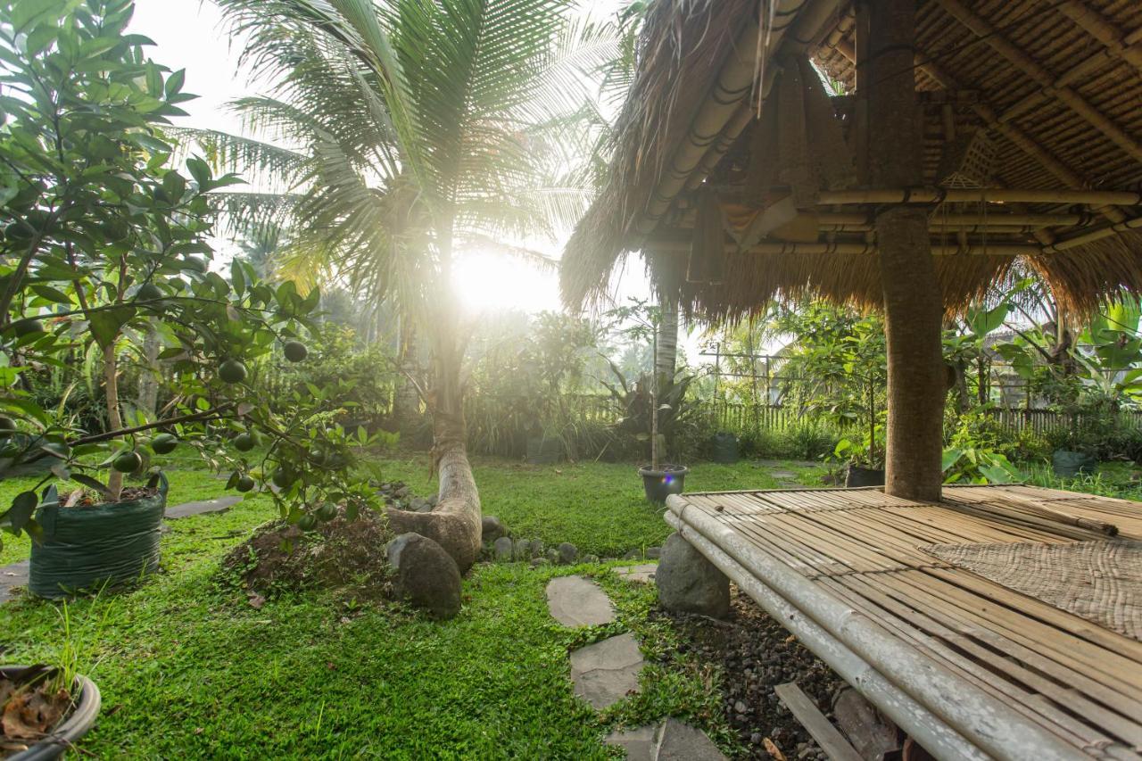 Tempat Tidur & Sarapan Luwih Nature Retreat Ubud (Bali)