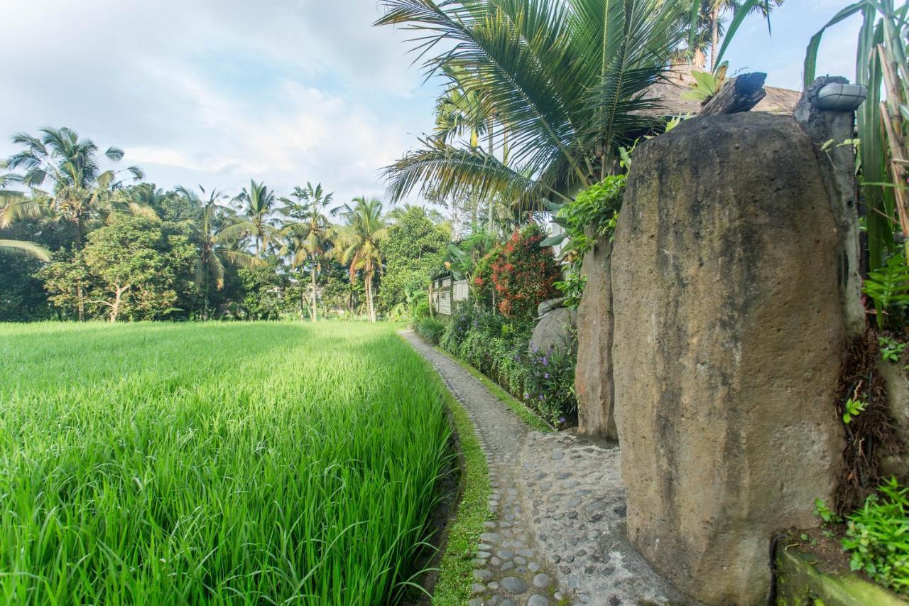 Tempat Tidur & Sarapan Luwih Nature Retreat