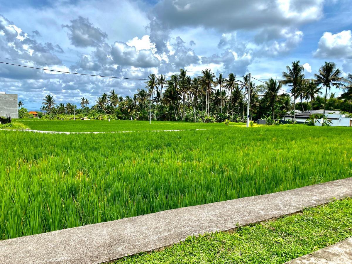 Mayura Private Pool