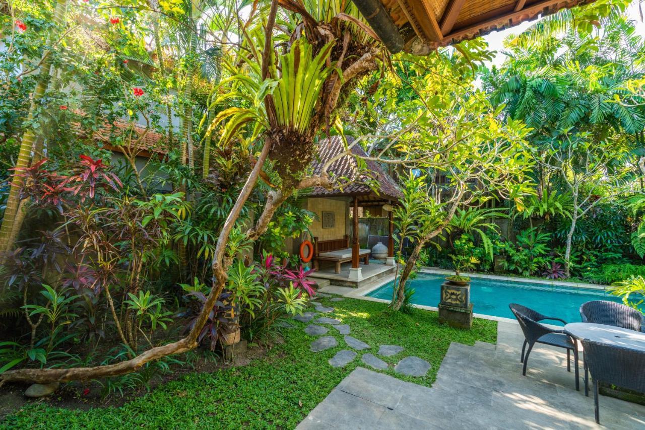 The Pause - Soca 3 Ubud
