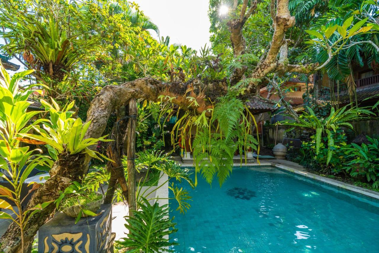 The Pause - Soca 3 * Ubud