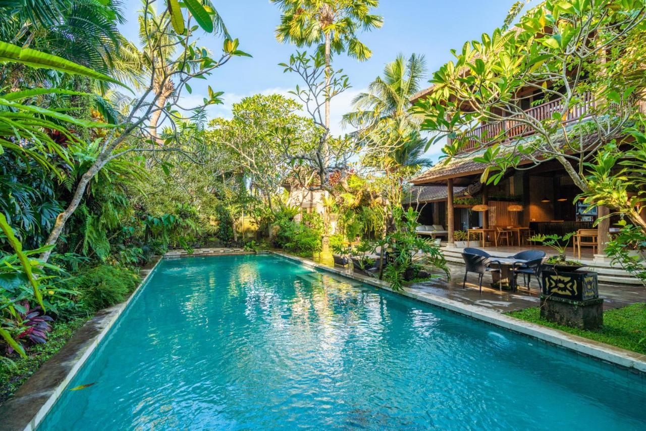 The Pause - Soca 3 Ubud