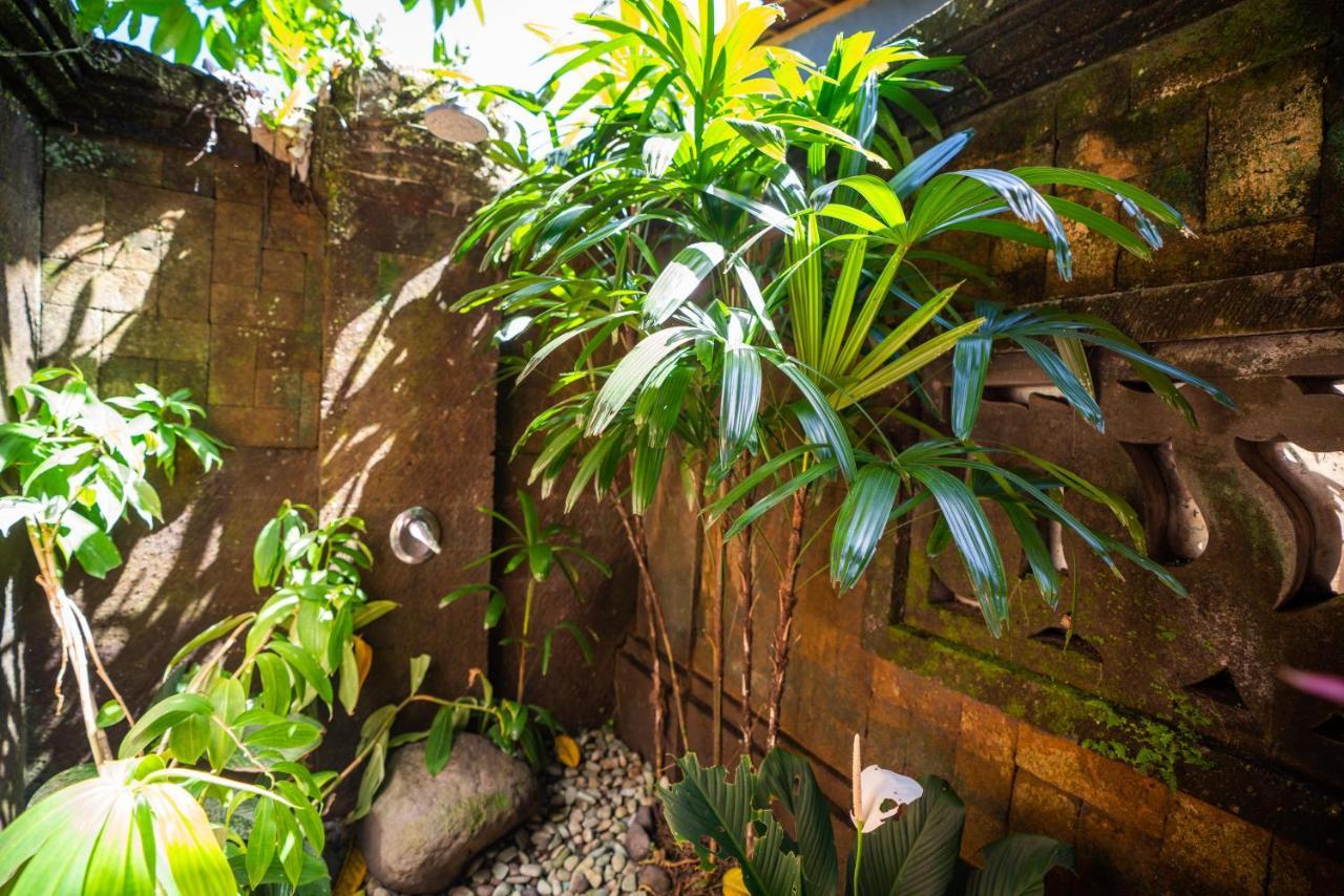 The Pause - Soca 3 Ubud