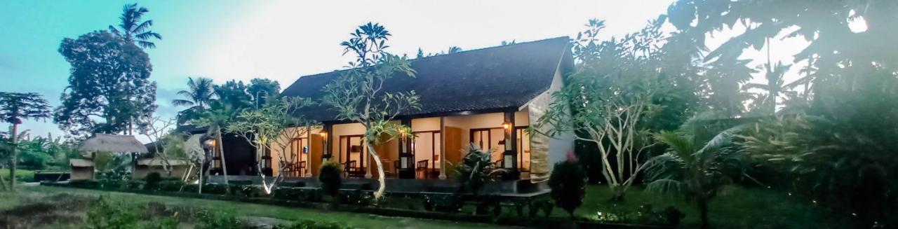 Homestay D' Tegal House *