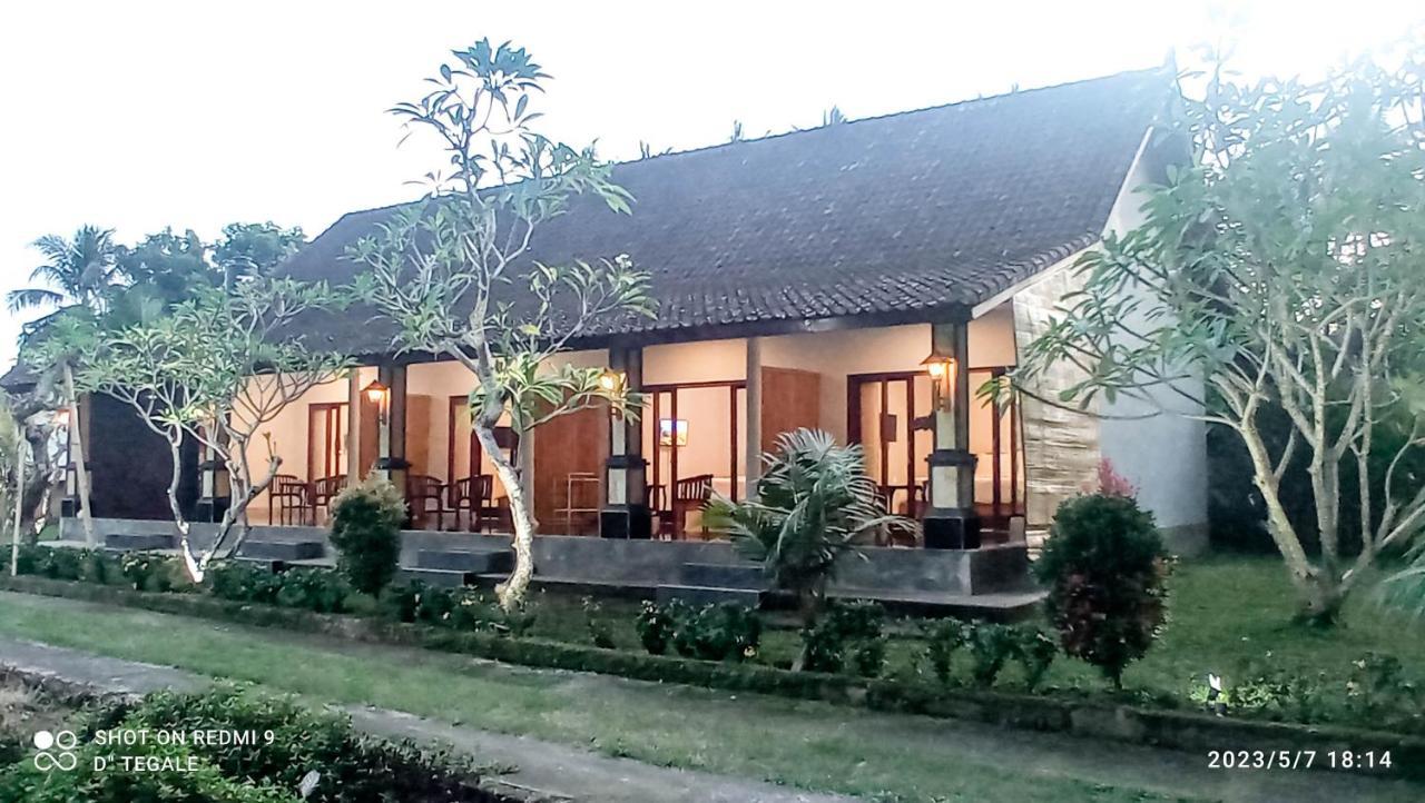 Homestay D' Tegal House *