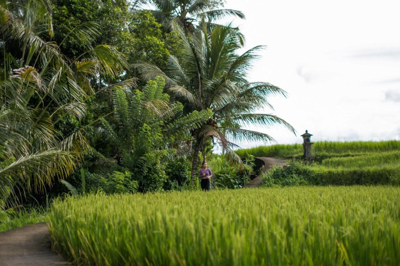 Hideaway Village Bali By Kanaan Hospitality Villa *