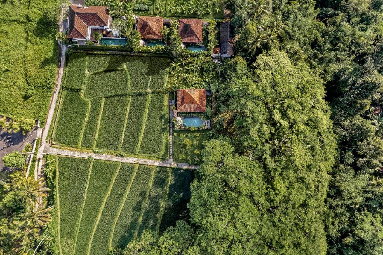 Villa Ratni *