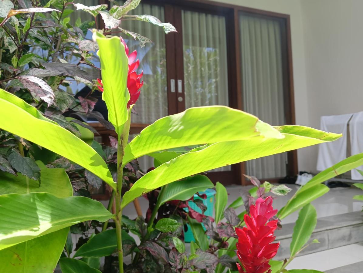 Kama Ayu Guest house