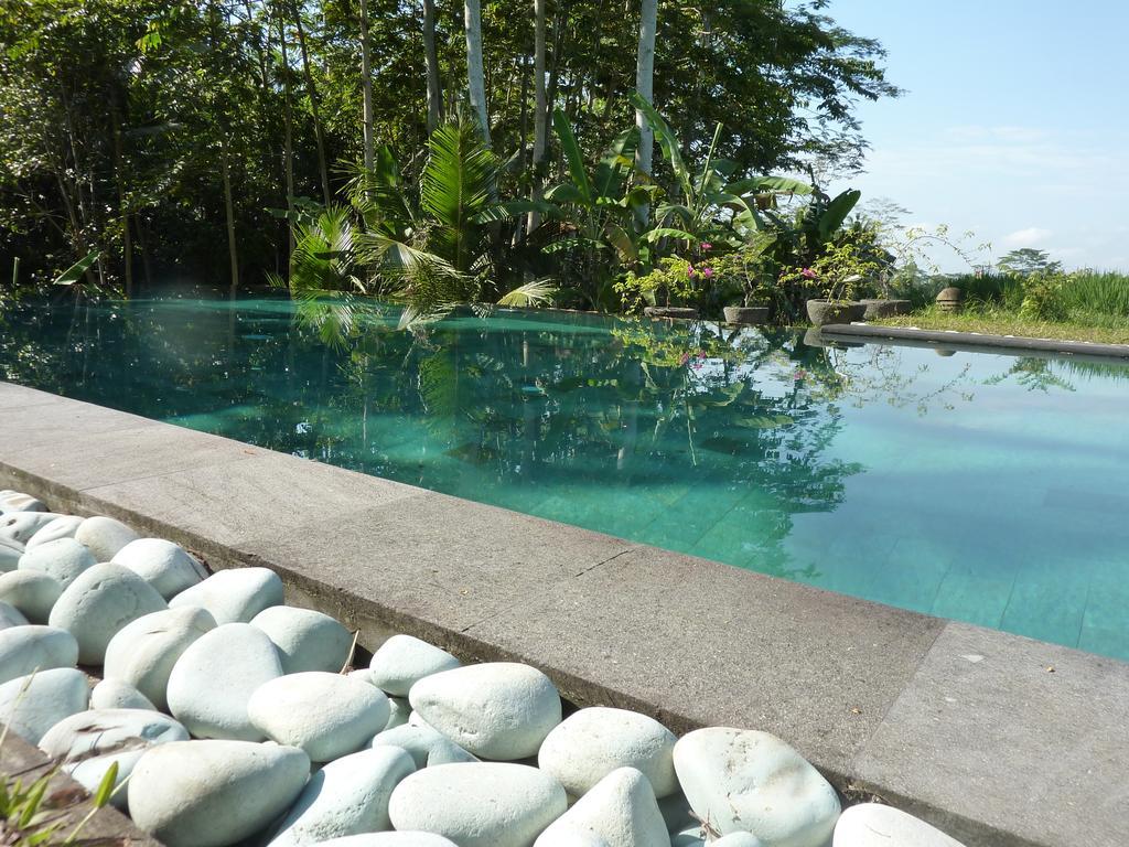 Viola Ubud (Bali)