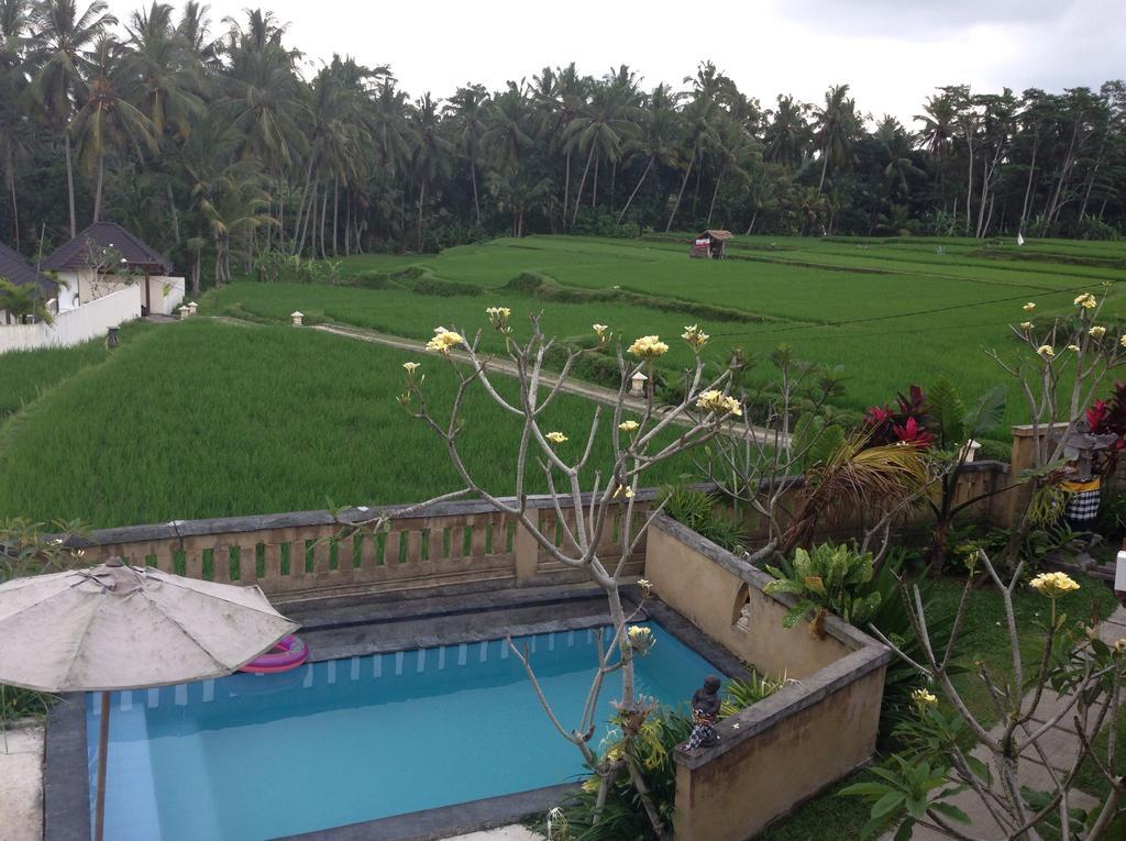 Guest house Ujung
