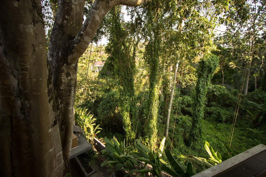 Hotel Labak River By Eps Ubud (Bali)