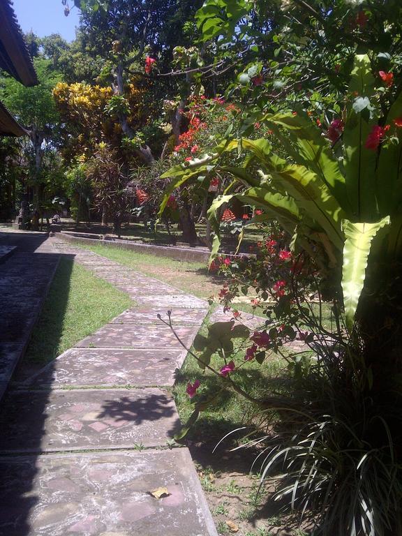 Madra Wisma tamu