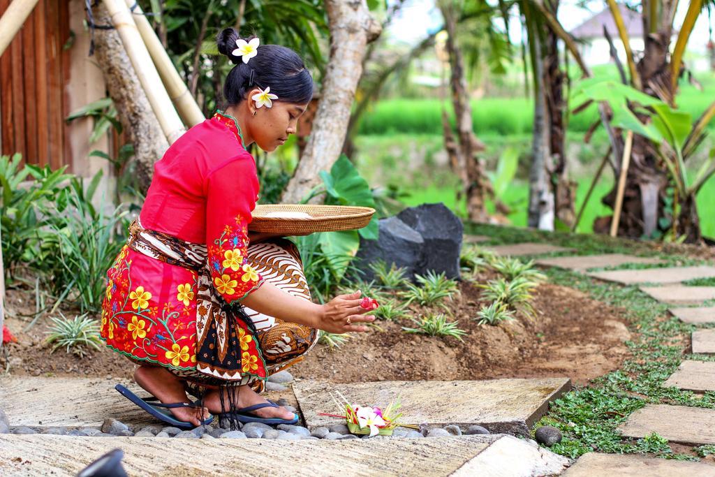 Luwih Nature Retreat Tempat Tidur & Sarapan Ubud (Bali)