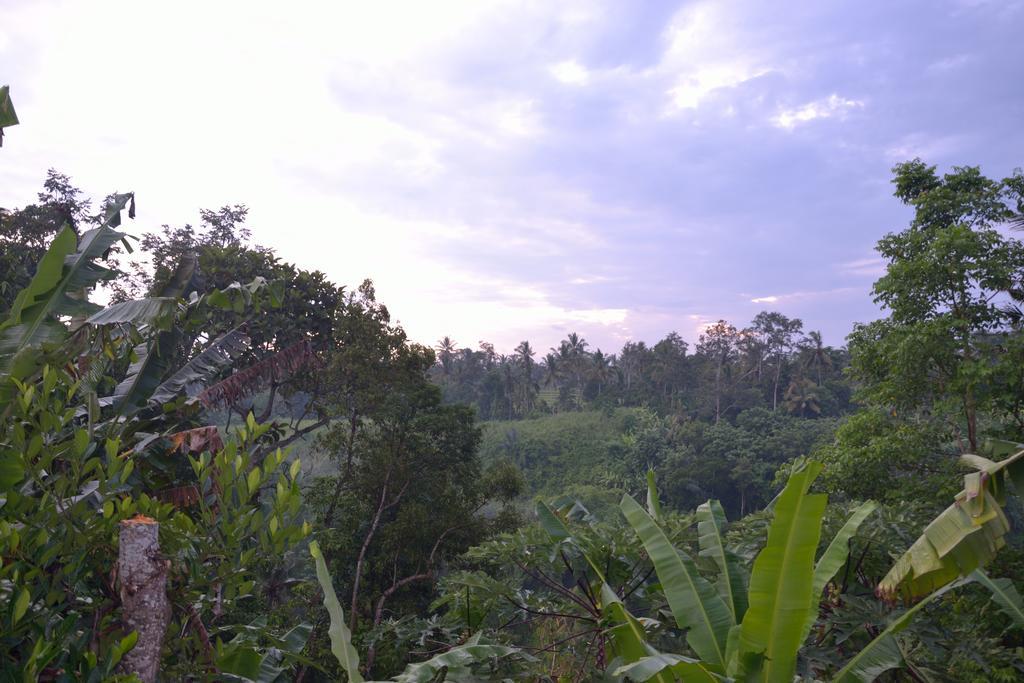 Bali *