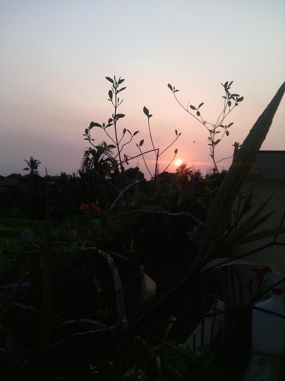 Kabera House 2 Homestay