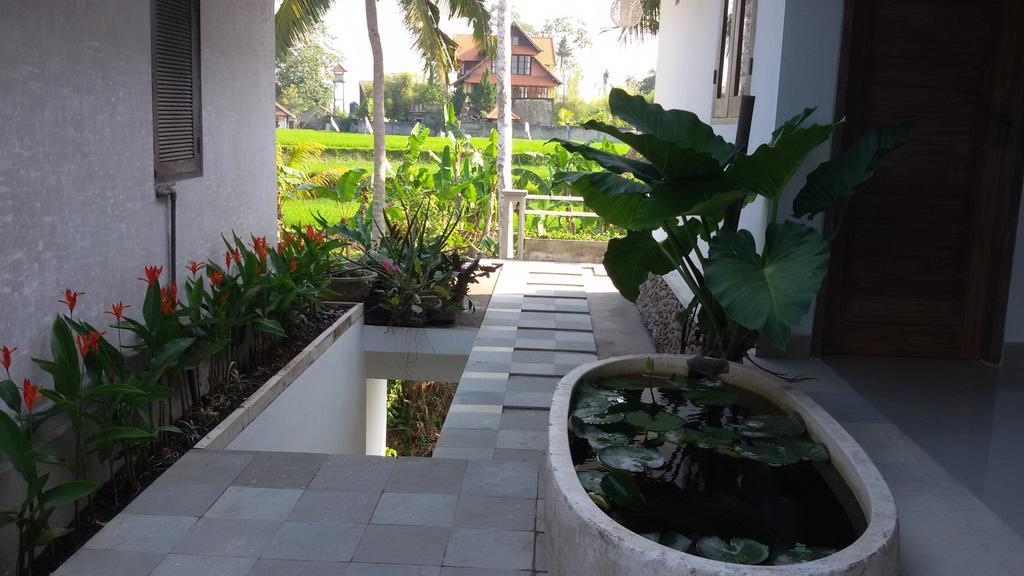Guest house Blu Mango *