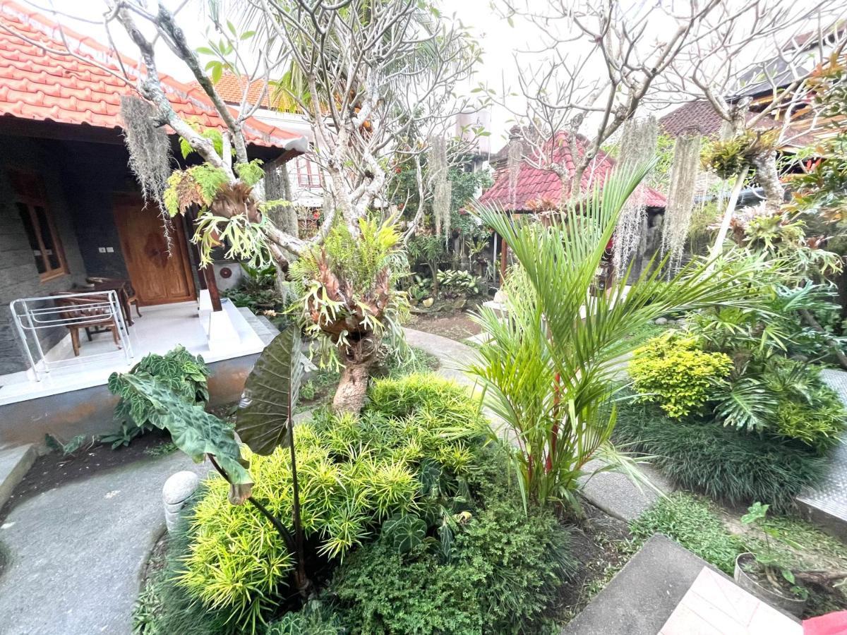 Dimuwa 2* Ubud (Bali)