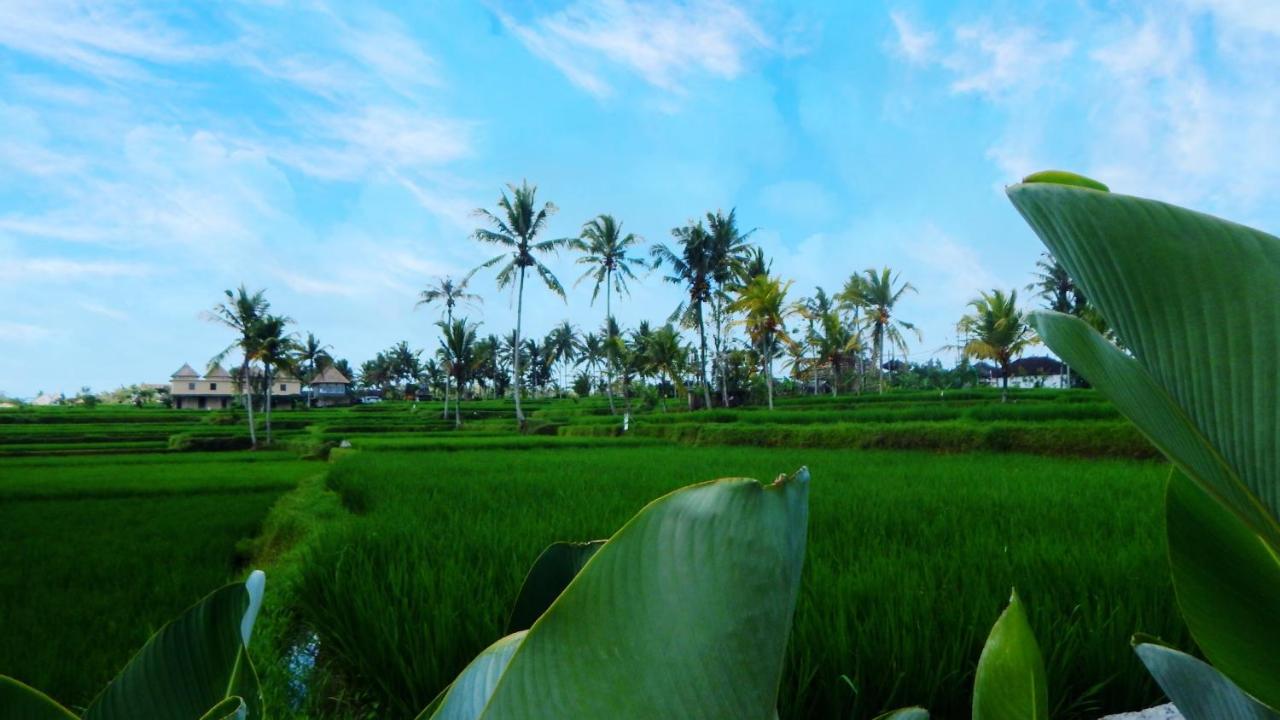 Lodge Amaya Ubud (Bali)