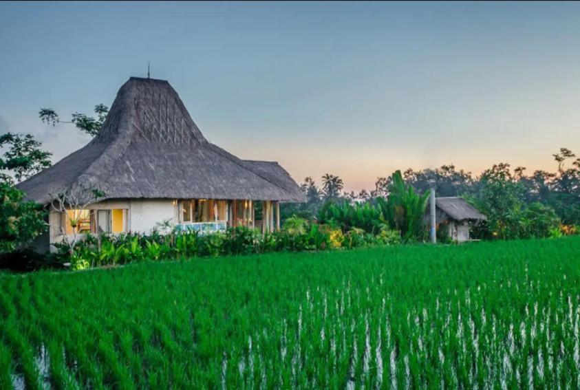 Bennu House
