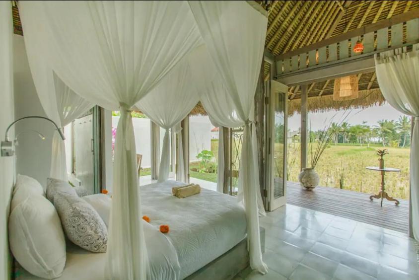 Bennu House