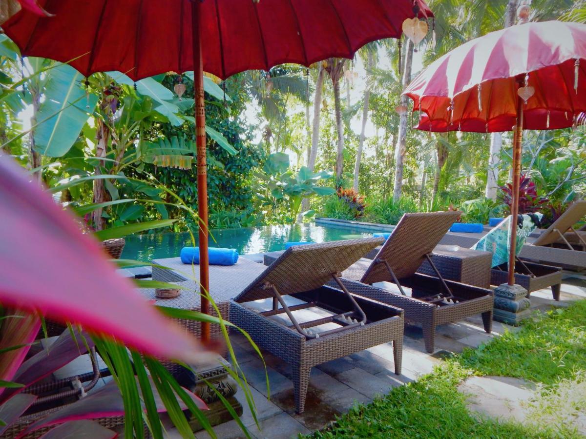 Lodge Amaya