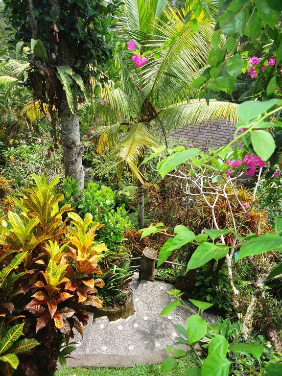 Gusti's Garden 4*