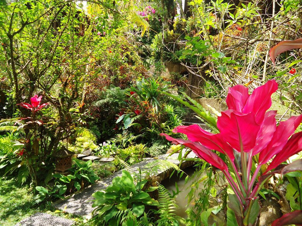 Gusti's Garden Guest house
