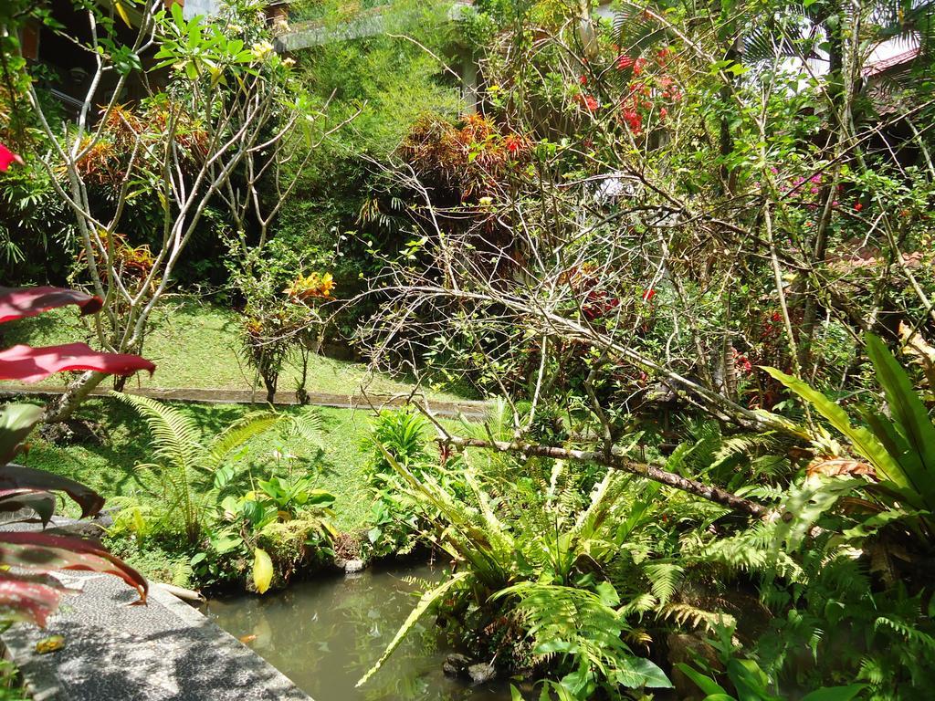 Gusti's Garden Guest house 4*