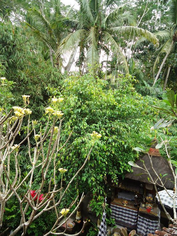 Guest house Gusti's Garden 4*
