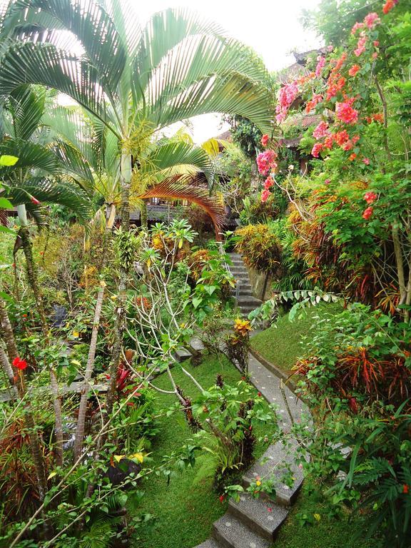 Gusti's Garden