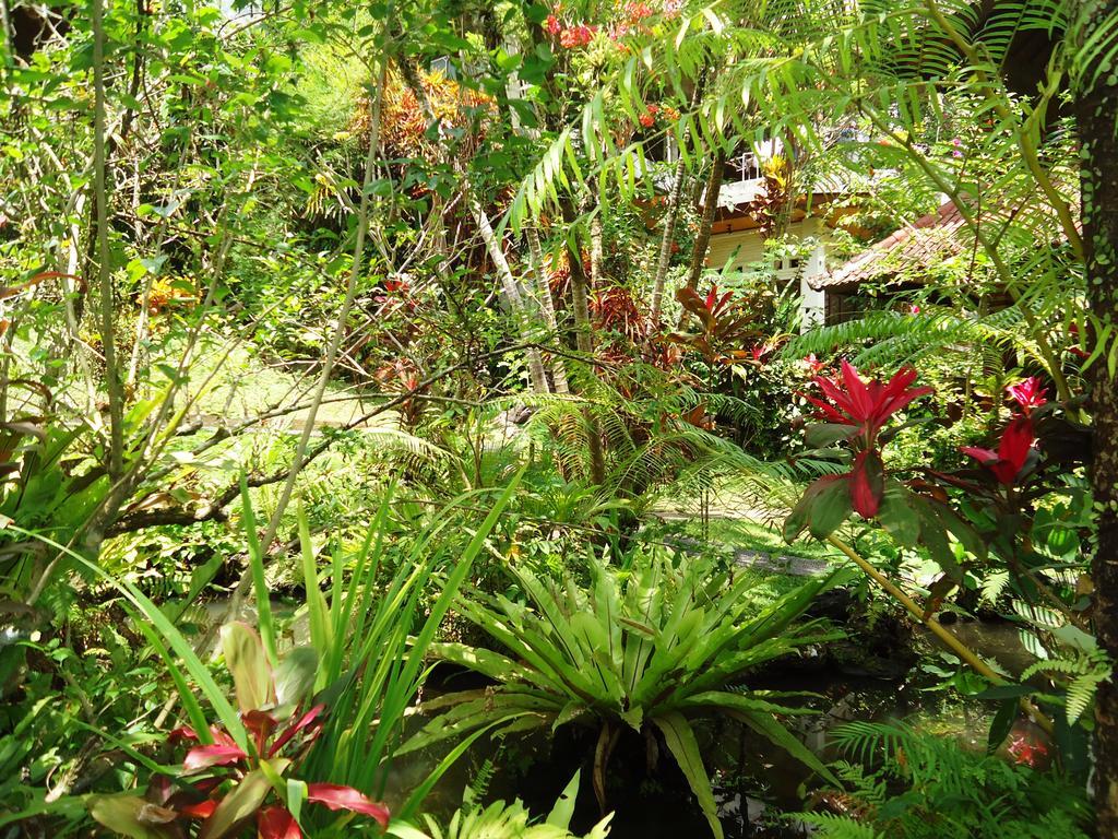 Gusti's Garden 4*