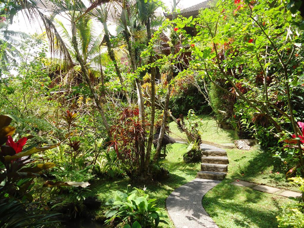 Gusti's Garden