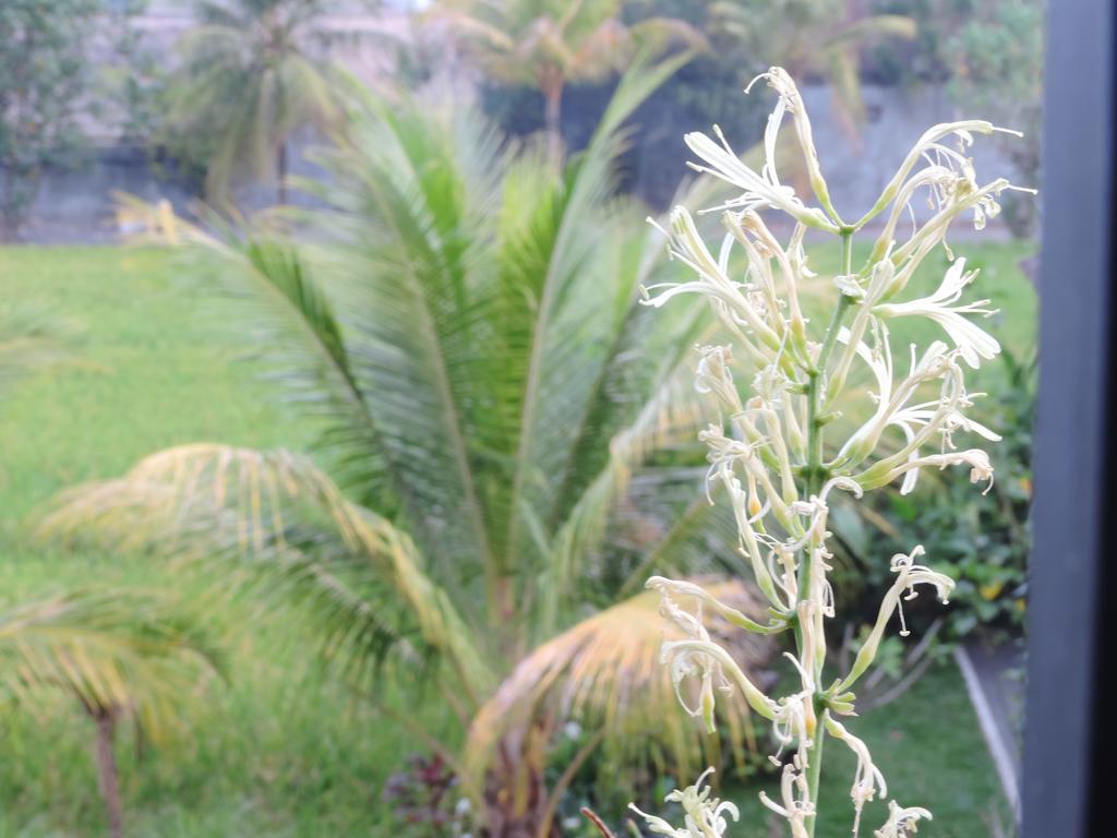 Arnawa 3* Ubud (Bali)