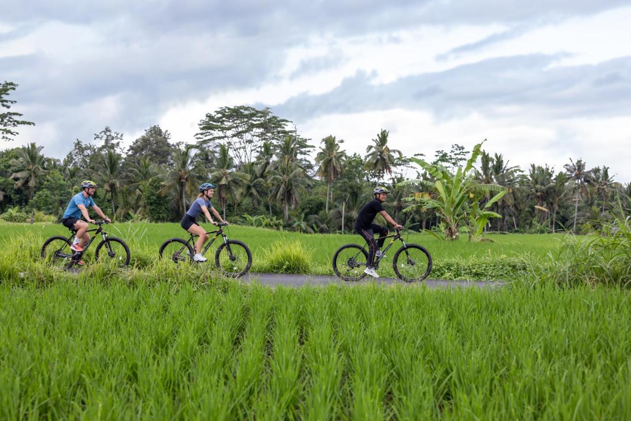 The Kayon Valley * Ubud
