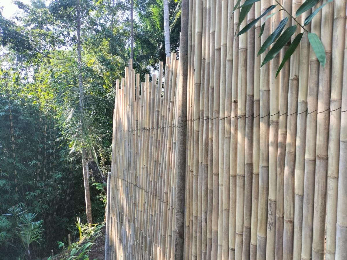 Baruna Sari And Yoga Retreat * Ubud (Bali)