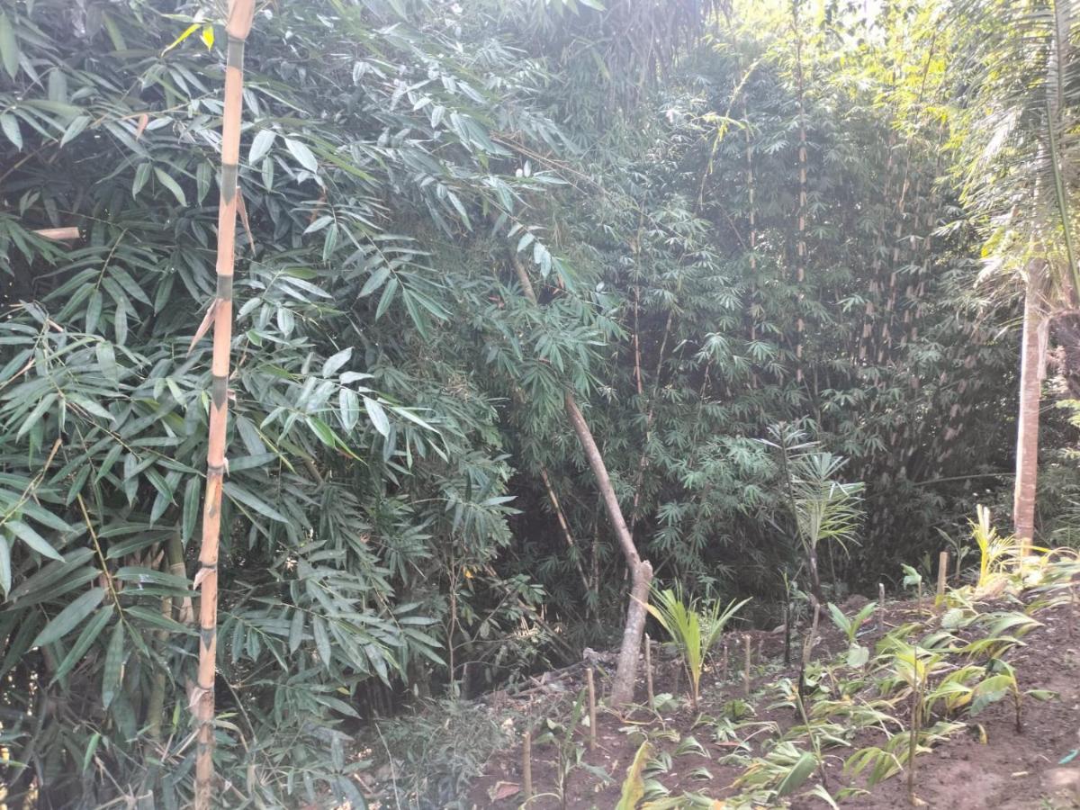 Baruna Sari And Yoga Retreat