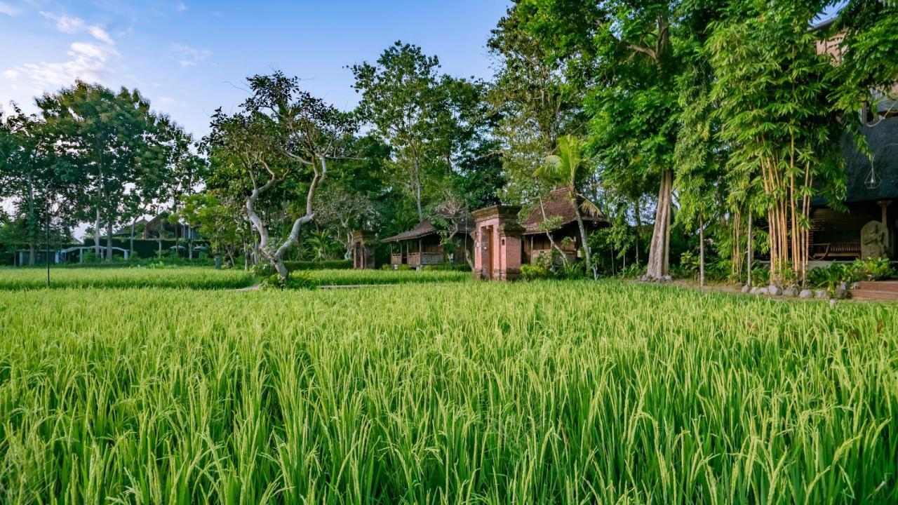 Holiday park Kajane Yangloni At Bali 4*